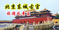 啊塞进去白浆视频中国北京-东城古宫旅游风景区